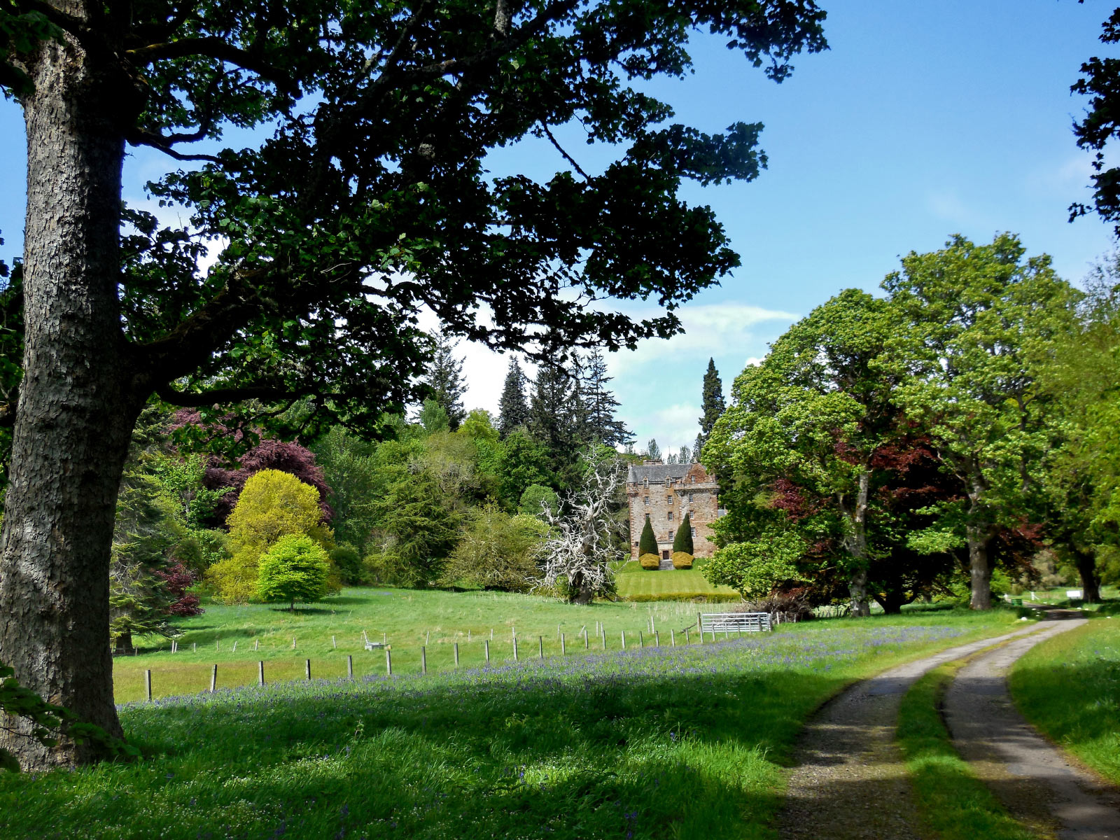 Castle Leod (Strathpeffer)